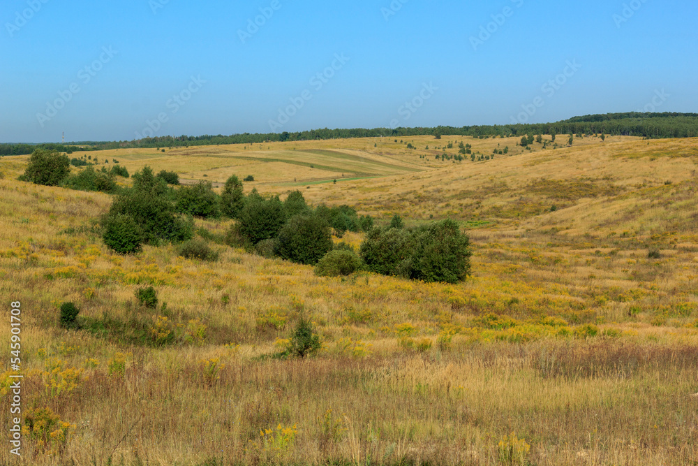 Summer hills landscape