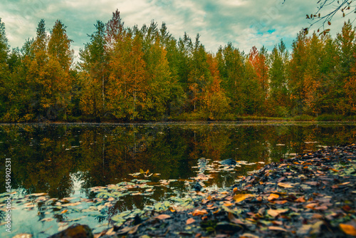 Fototapeta Naklejka Na Ścianę i Meble -  In early autumn near a forest arable river