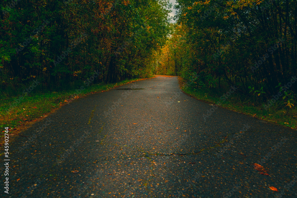 Asphalt road for running along the autumn forest