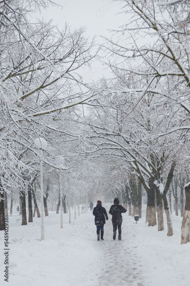 Couple back to camera walking in snowy park, trees covered with snow on winter background, vertical shot Couple back to camera walking in snowy park, trees covered with snow on winter background, vertical shot