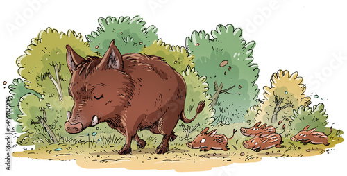 Wild boar family illustration