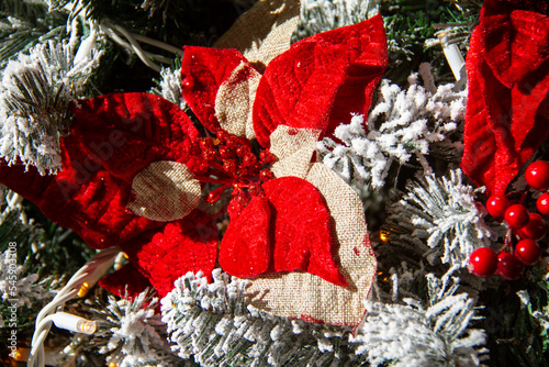 christmas decoration with red poinsettia