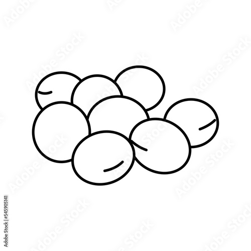 soy seed grain dry line icon vector illustration