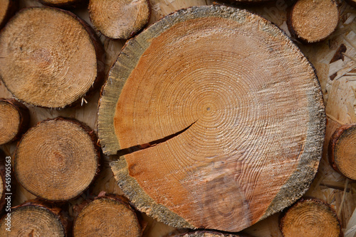 wooden circles cut of tree trunk isolated, close-up