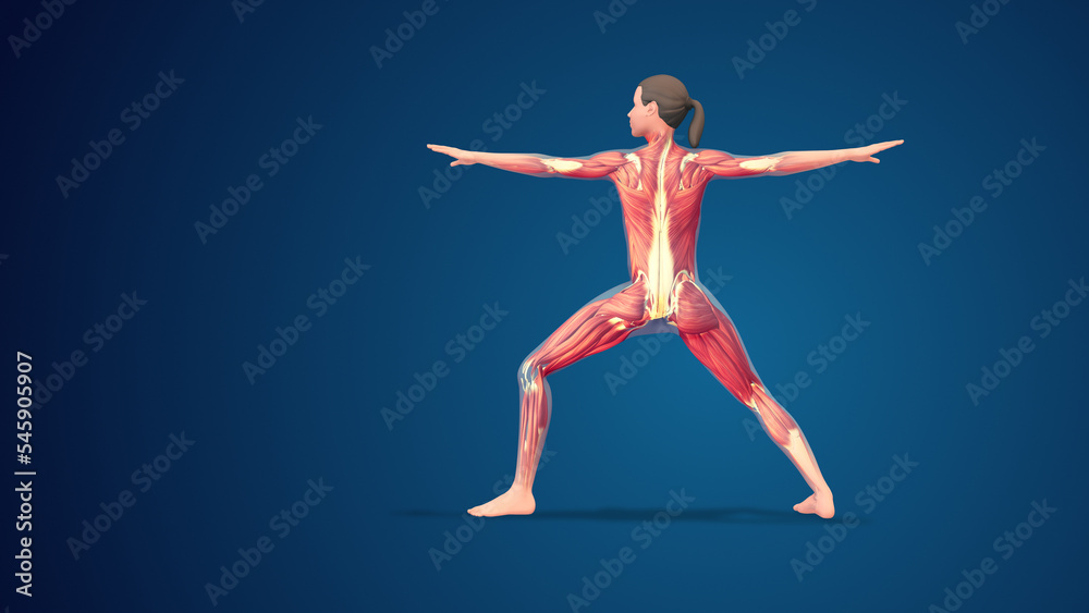 3D human Virabhadrasana II pose on blue background 3D human Virabhadrasana II pose on blue background