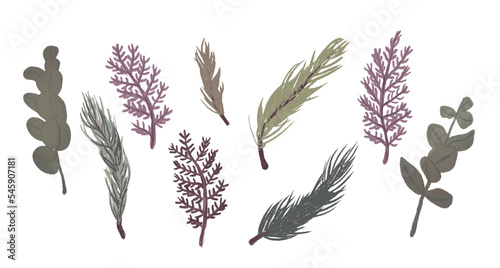 Conjunto de elementos florales de otoño, ramitas de árbol. Recurso de ramitas de otoño vectorizadas en colores otoñales o de invierno, morados, ocres y verdes photo