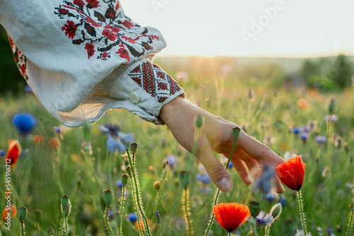 Close up lady caressing poppy concept photo. Beautiful field. Front view photography with sunlit meadow on background. High quality picture for wallpaper, travel blog, magazine, article