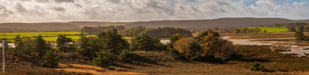 Obraz premium Panorama of salt marshes across the Dorset countryside with autumn trees and heather leading up to the hills on a sunny cloudy day from Arne viewing point nature reserve.