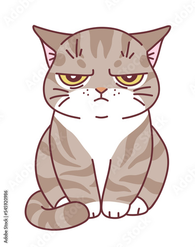 Cute offended cat minimal vector illustration. Doodle cartoon cats series.