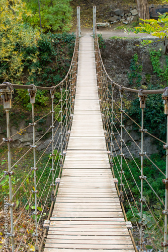 bridge in the forest