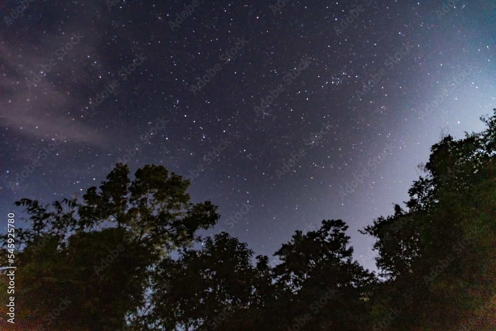 starry night sky