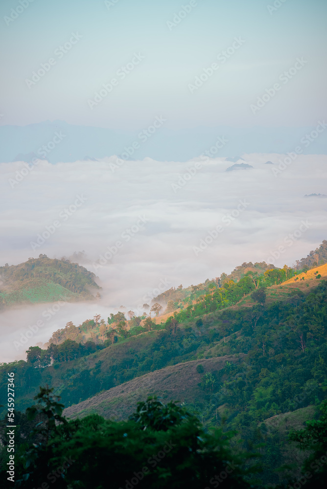 Fototapeta premium view of the misty sea