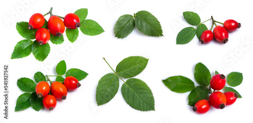 rose hip berry with leaf isolated on white background. Set or collection