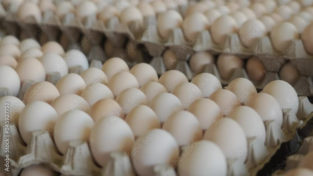 Beautiful clean chicken eggs are lying on the counter of the farmer's market. Close-up of farmer's chicken eggs at the market. High quality 4k footage Beautiful clean chicken eggs are lying on the counter of the farmer's market. Close-up of farmer's chicken eggs at the market. High quality 4k footage