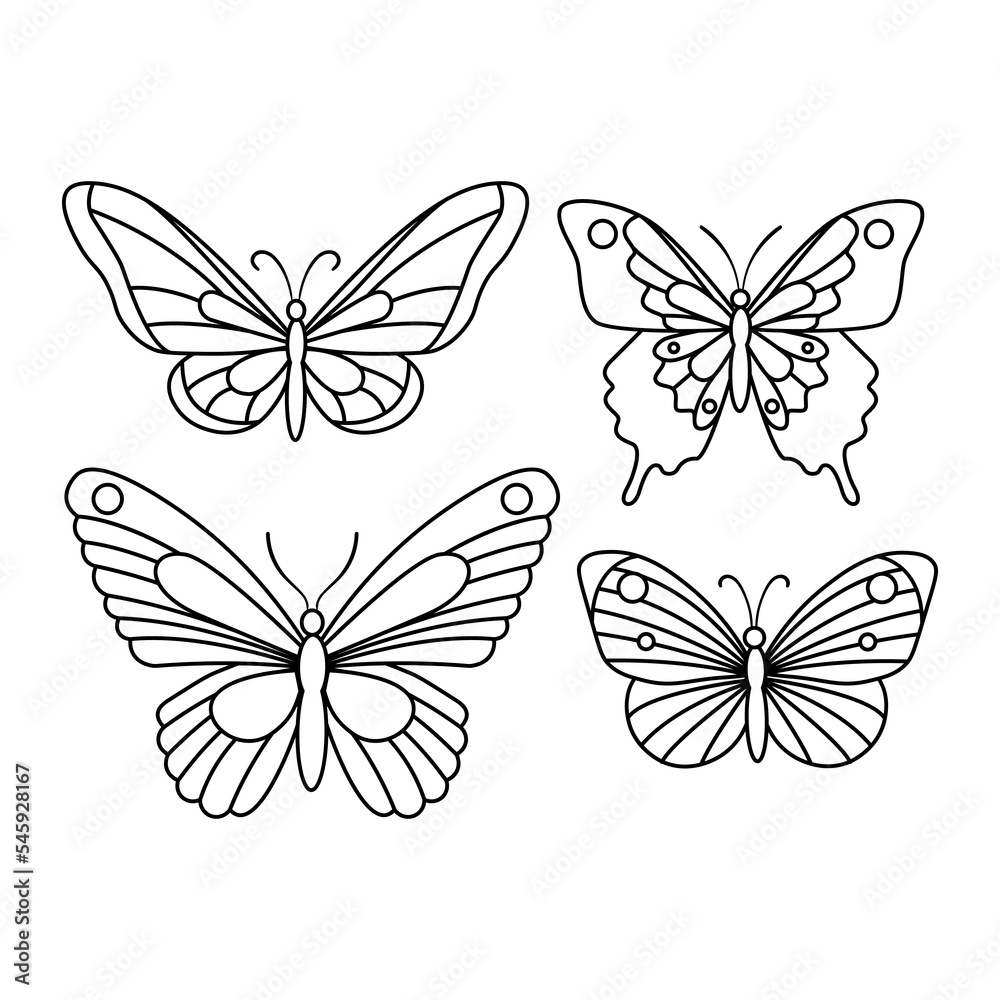 Obraz premium Butterfly line art, vector illustration