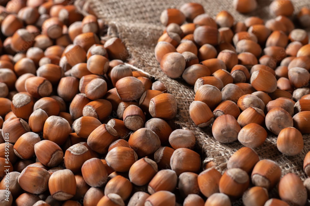 Hazelnuts, filbert in burlap sack on wooden backdrop. heap or stack of hazelnuts. Hazelnut background, healty food Hazelnuts, filbert in burlap sack on wooden backdrop. heap or stack of hazelnuts. Hazelnut background, healty food