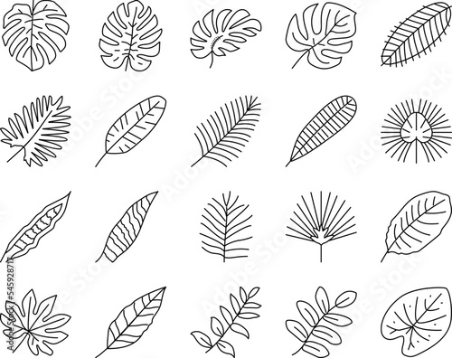 palm leaf summer plant green icons set vector