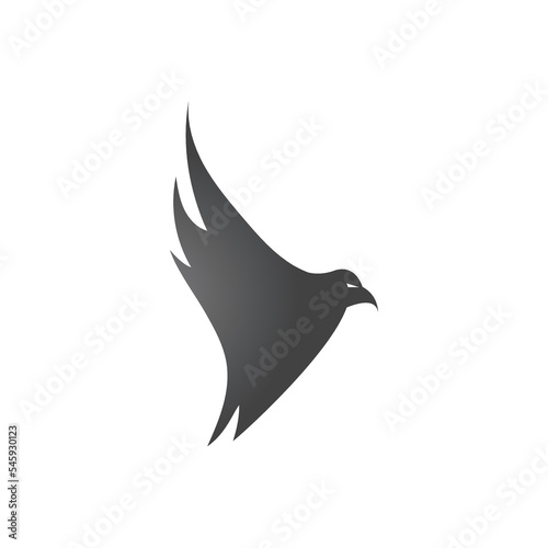 Falcon Eagle Logo Template vector illustration design