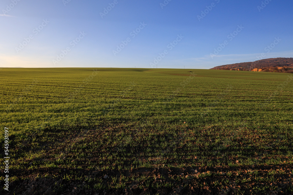 Fields near Svidnik at Slovakia.