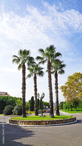 Vista de Altafulla, Tarragona, Catalunya, España, Europa 