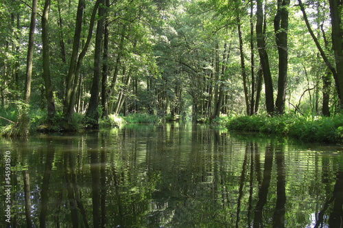 Paddeln im Spreewald