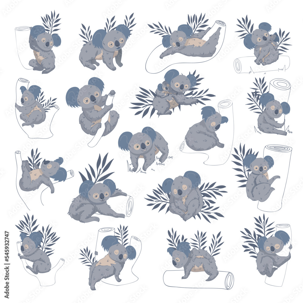 Cute lazy koalas set. Cute wild Australian animals with eucalyptus leaves. Little funny rainforest animal cartoon vector