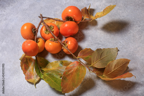 Persimmon fruits on a branch with leaves on a white background