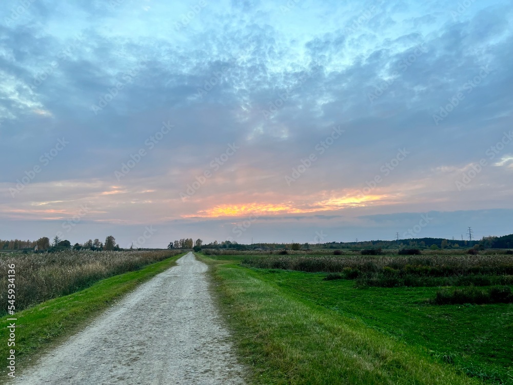 road in the field road in the field