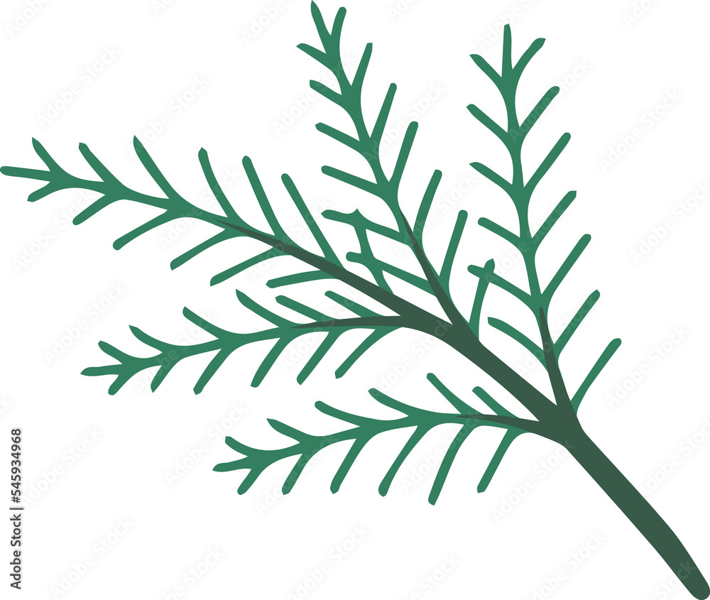 Fototapeta premium Holly Leaves Christmas Illustration