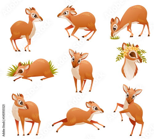 Brown Dik-dik as African Small Antelope with Horns in Different Pose Vector Set