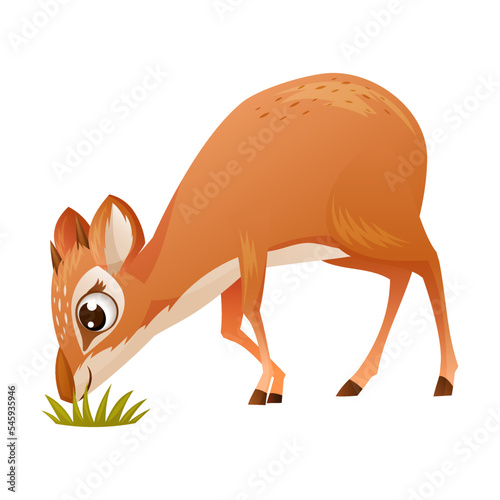 Brown Dik-dik as African Small Antelope with Horns Eating Grass Vector Illustration