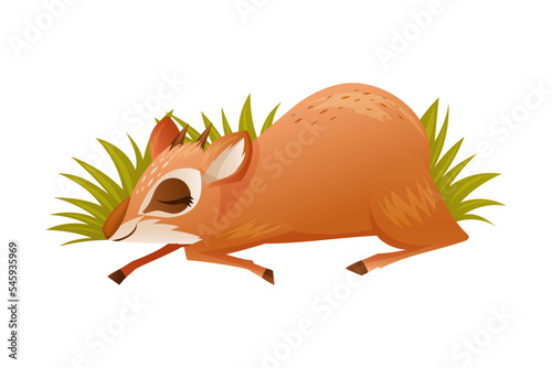 Brown Dik-dik as African Small Antelope with Horns Sleeping Lying in Green Grass Vector Illustration