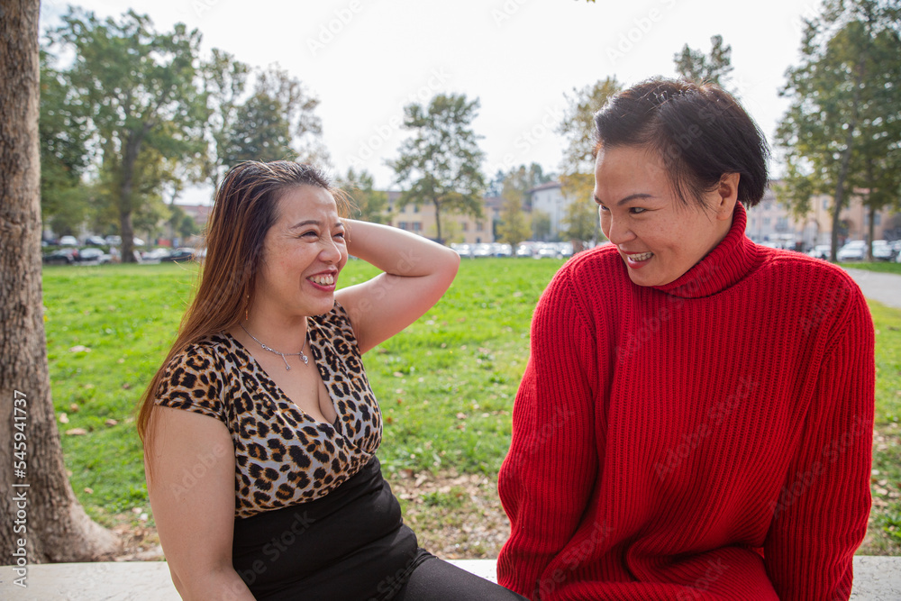 Two Chinese ladies meet to chat in an open-air park, friendship concept Two Chinese ladies meet to chat in an open-air park, friendship concept