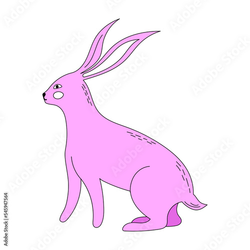 Rabbit or hare illustration