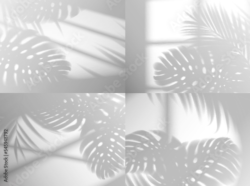 Window shadow light with monstera leaves. Vector overlay effect with tropical plant branches on wall. Realistic light blinds through jalousie and glass frame. Soft floral shades on white background