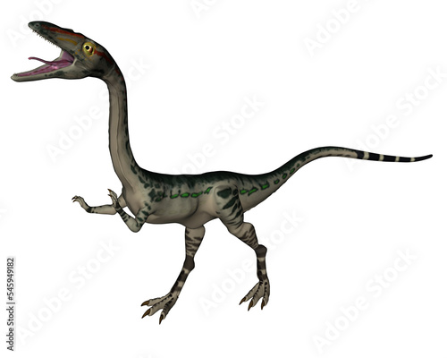 Coelophysis dinosaur - 3D render photo