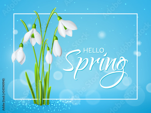 Snowdrop flowers spring background. March white flowers realistic vector cover or wallpaper, garden plant background. Mothers day spring holiday banner, backdrop with gentle snowdrops flowers