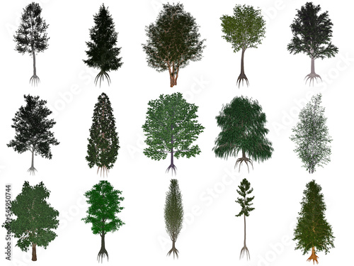 Set or collection of common trees - 3D render