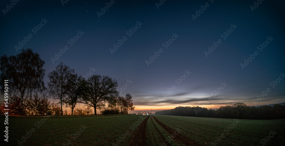 Fototapeta premium green field with wheat shoots and silhouette of trees in the early morning in Africa