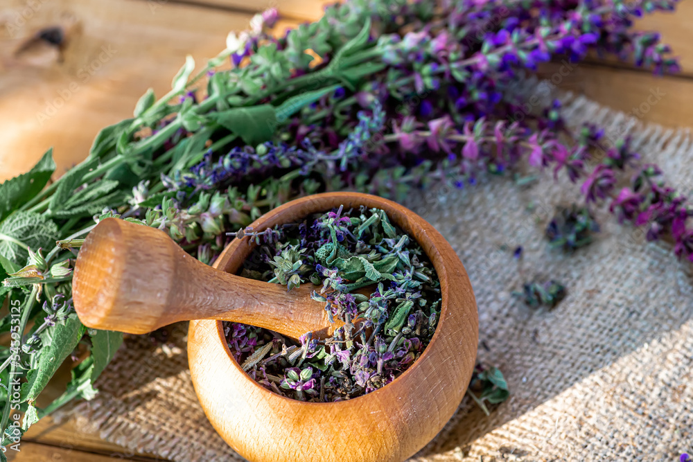 Wooden mortar full of dried sage flowers plucked in the summer in a meadow in an ecologically