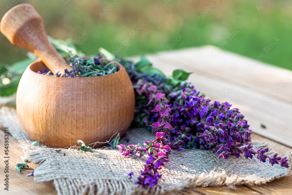 Fresh purple sage flowers on a rustic old table. Alternative medicine. Apothecary herbs for the preparation of tinctures. Fresh purple sage flowers on a rustic old table. Alternative medicine. Apothecary herbs for the preparation of tinctures.