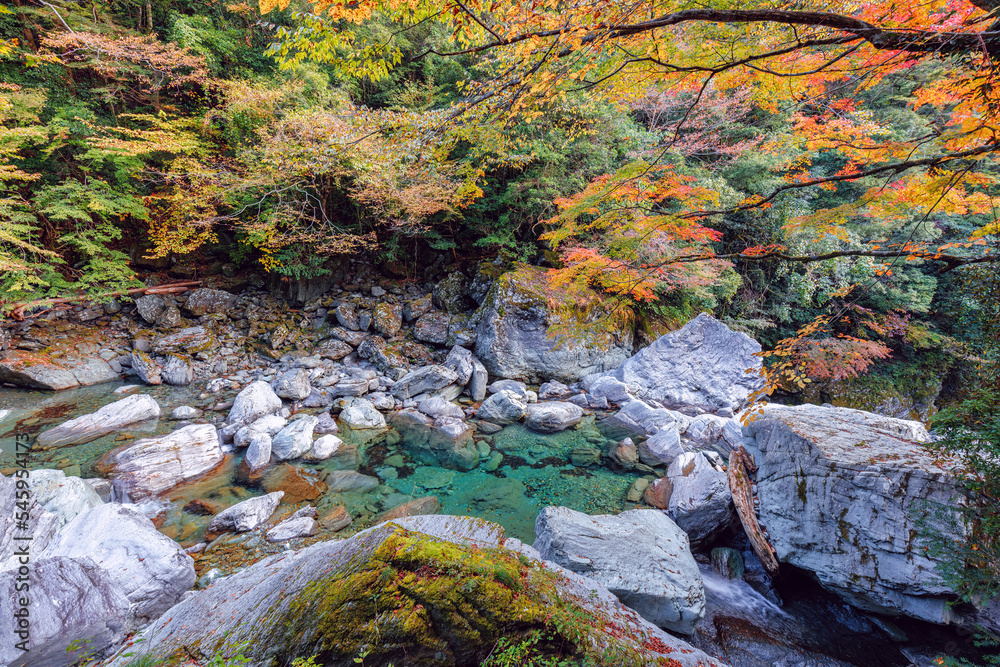 秋の安居渓谷 Stock Photo | Adobe Stock