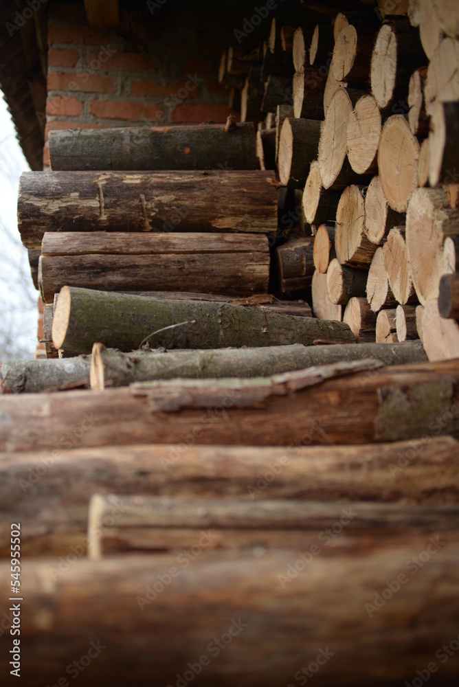 rown logs, firewood for home heating in winter, pine, oak logs, wood, heating in winter, without gas and electricity, preparation for winter to keep warm in winter, even firewood cut and stacked symm