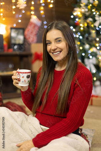Beautiful pregnant girl, Christmas in front of Christmas decoration sits on the floor in a warm room covered with a blanket drinks hot drink, tea, coffee from a New Year cup and enjoys solitude.