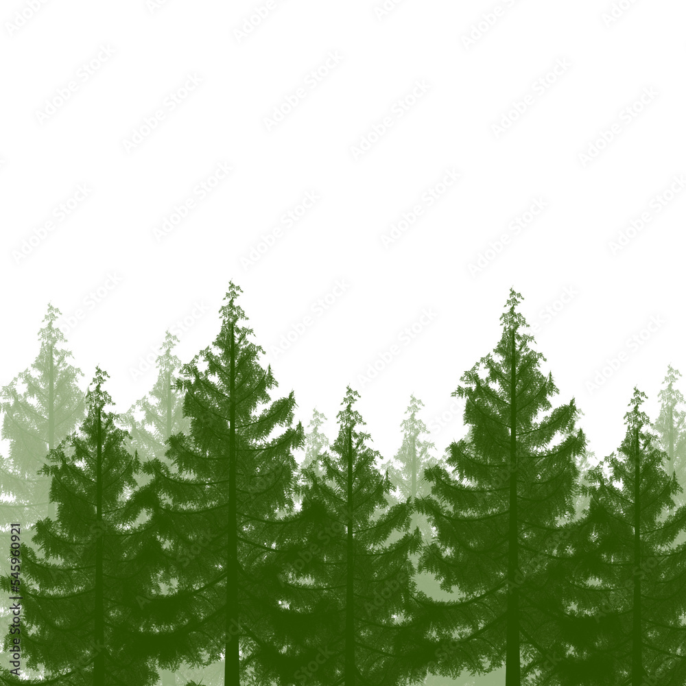 forest illustration on the eve of winter

