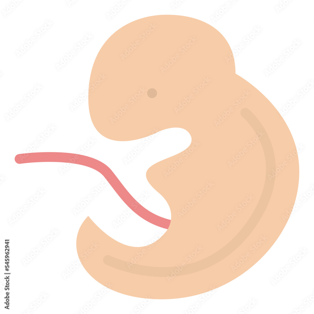 embryo unborn fertilization pregnancy icon embryo unborn fertilization pregnancy icon