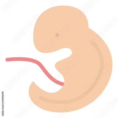 embryo unborn fertilization pregnancy icon