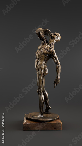 Canvas-taulu Anatomic model from 1500s