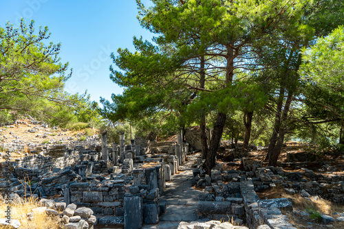 Ruins of the episcopal church, a byzantine basilica, with beautiful pine trees in Priene, Aydin, Aegean region, Turkey. Selective focus.