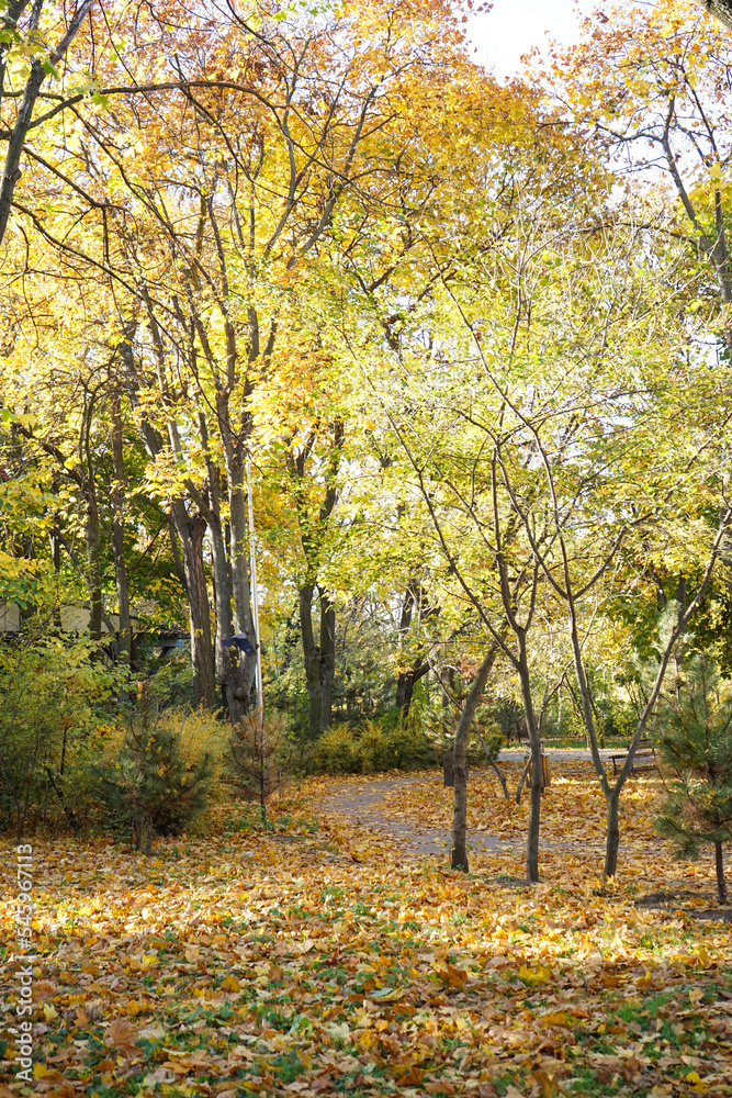 Autumn park, fallen yellow leaves, vertical
